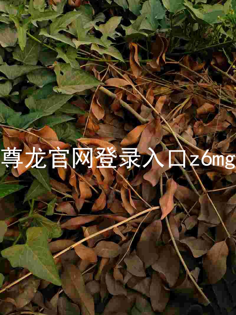 尊龙官网登录入口z6mg