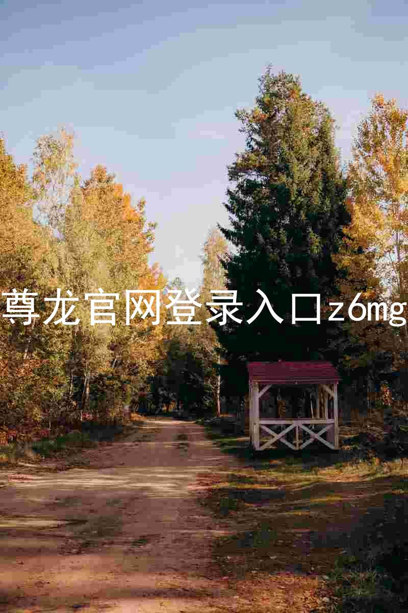 尊龙官网登录入口z6mg
