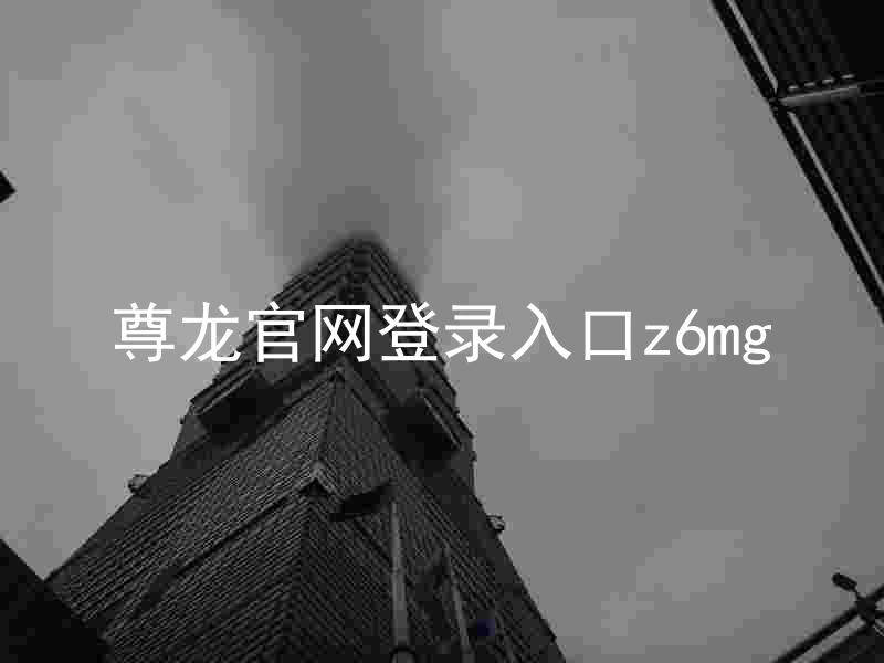 尊龙官网登录入口z6mg