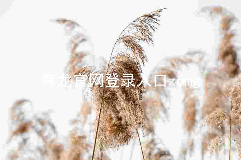 尊龙官网登录入口z6mg