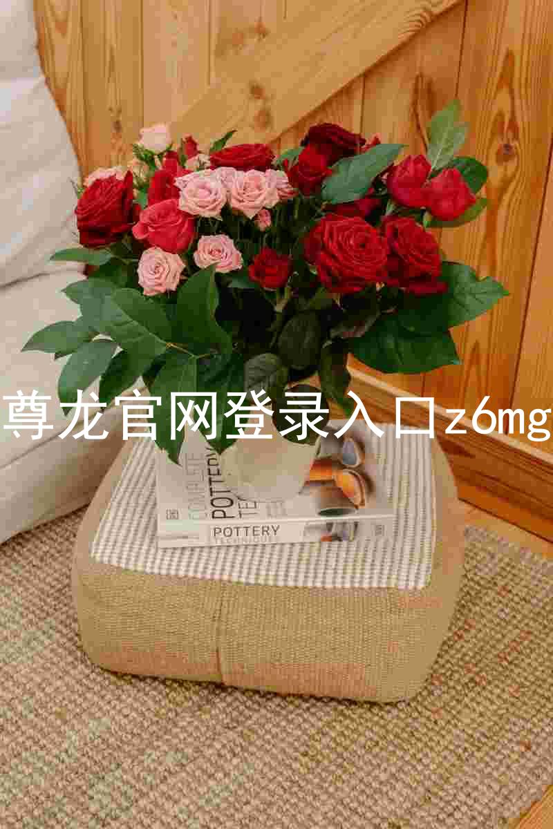 尊龙官网登录入口z6mg