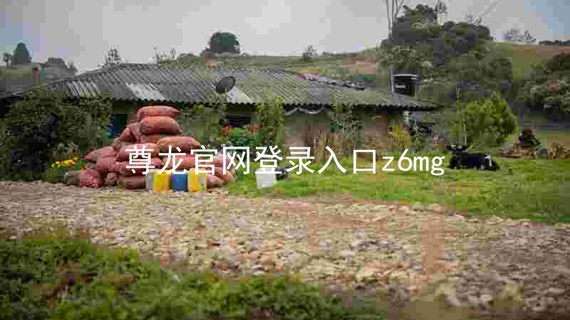 尊龙官网登录入口z6mg