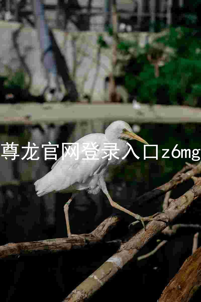 尊龙官网登录入口z6mg