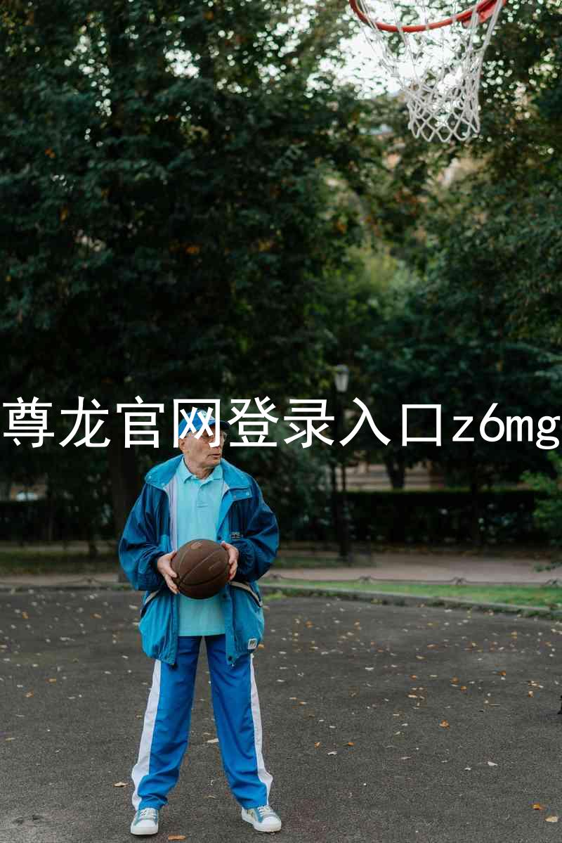 尊龙官网登录入口z6mg