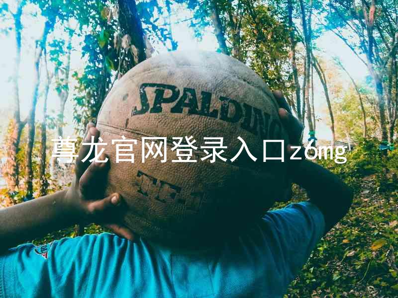 尊龙官网登录入口z6mg