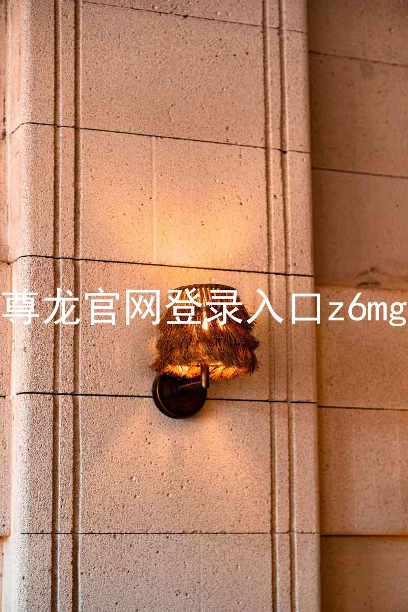 尊龙官网登录入口z6mg