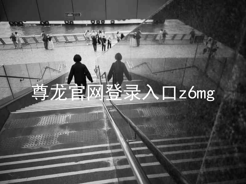 尊龙官网登录入口z6mg