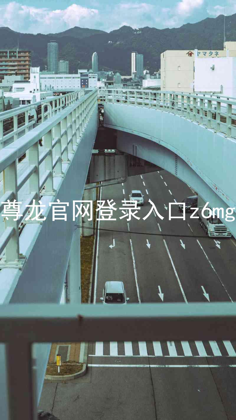 尊龙官网登录入口z6mg