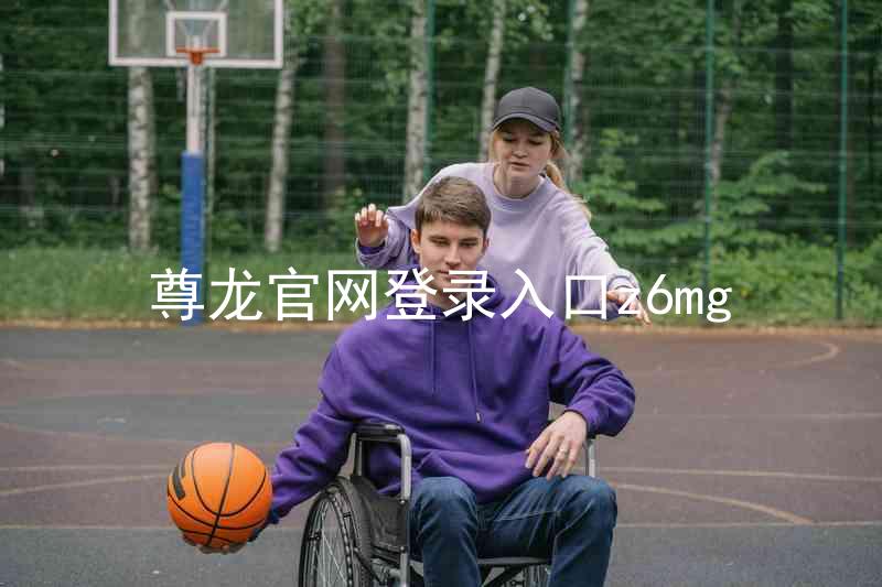 尊龙官网登录入口z6mg