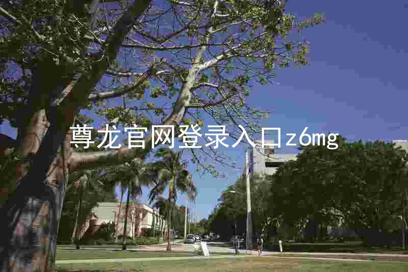 尊龙官网登录入口z6mg